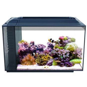 Evo Aquarium Kit 13.5 Gallons (22" x 11.5" x 12.5") - Fluval