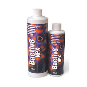 Bactiv8 Heterotrophic Bacteria for Nitrate and Phosphate Reduction (250 ml / 8 oz) - Two Little Fishies
