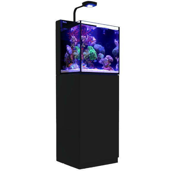 revolution hul sjælden Max Nano 20 Gallon BLACK (Tank & Stand) w/AI Prime LED Complete Reef System  - Red Sea