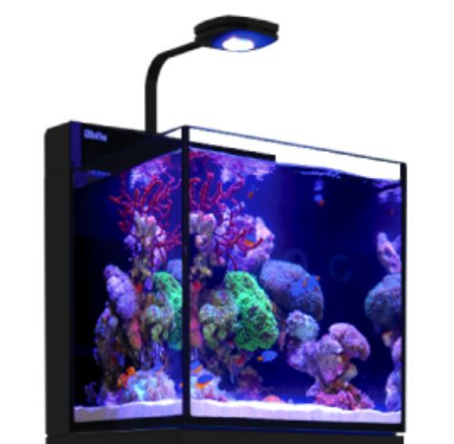 semester Gå glip af tømrer Max Nano (TANK ONLY) 20 Gallon w/AI Prime LED Reef System - Red Sea